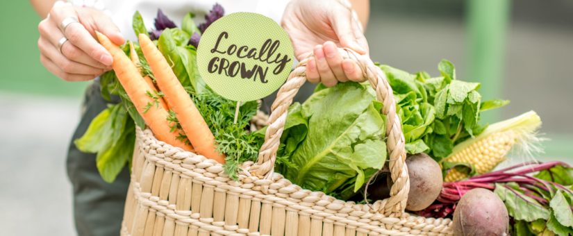 Transparent Supply Chains Increase Sustainability