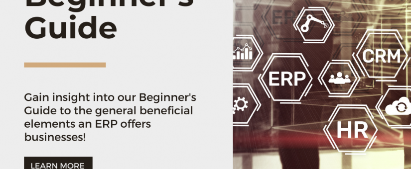 ERP Beginner’s Guide