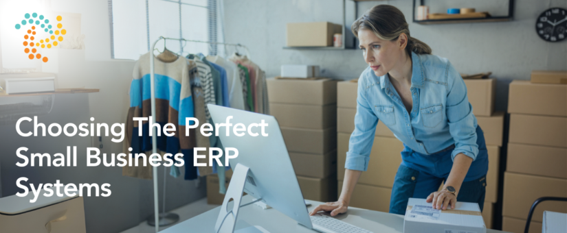 Choosing The Perfect Small Business ERP System