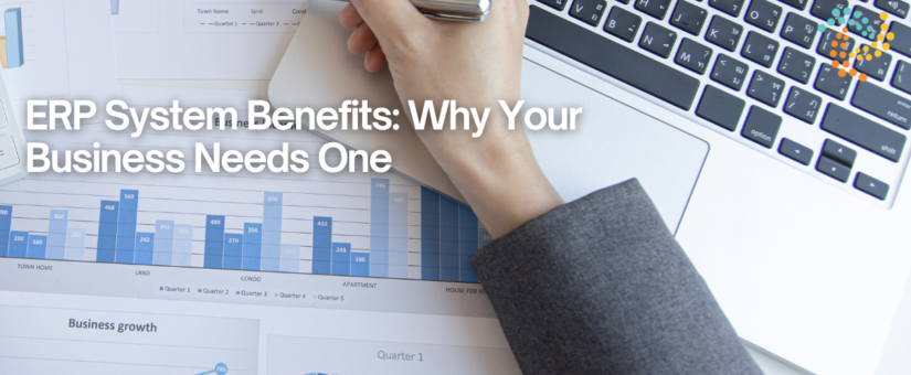 ERP System Benefits: Why Your Business Needs One