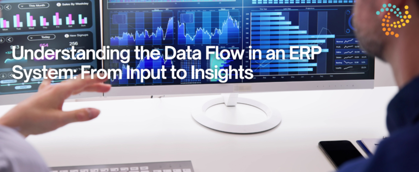 Understanding the Data Flow in an ERP System: From Input to Insights