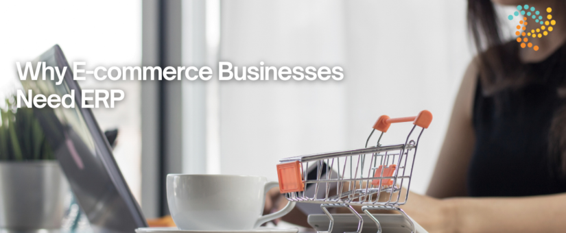 Why E-commerce Businesses Need ERP
