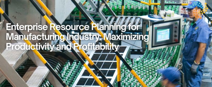 Enterprise Resource Planning for Manufacturing Industry: Maximizing Productivity and Profitability