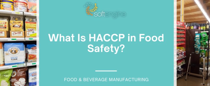 What Is HACCP in Food Safety?