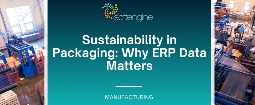 Sustainability in Packaging: Why ERP Data Matters