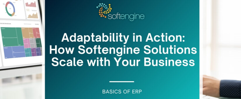 Adaptability in Action: How Softengine Solutions Scale with Your Business