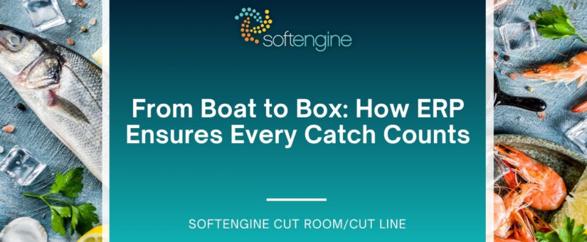 From Boat to Box: How ERP Ensures Every Catch Counts