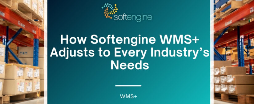 How Softengine WMS+ Adjusts to Every Industry’s Needs