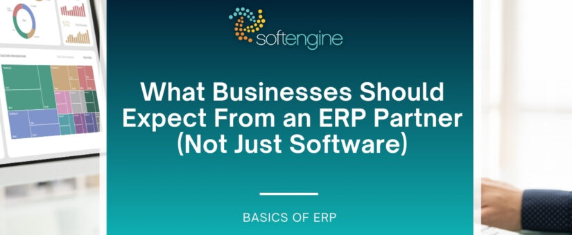 What Businesses Should Expect From an ERP Partner (Not Just Software)